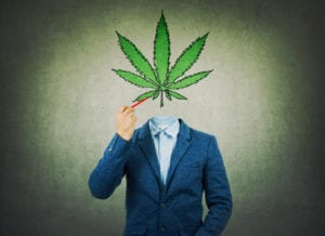 Cannabis Advisors