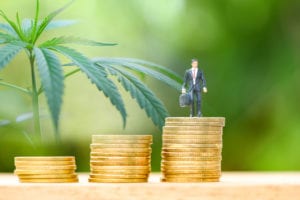 Cannabis Business Consultation